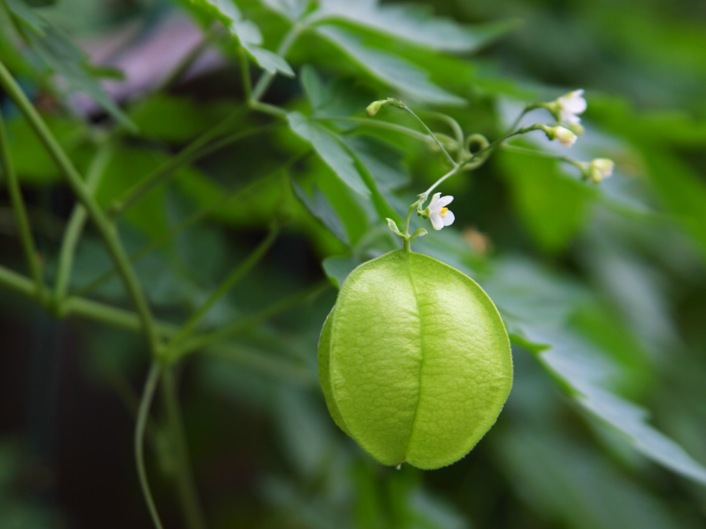 品牌營(yíng)銷中標(biāo)志設(shè)計(jì)起到了重要的作用